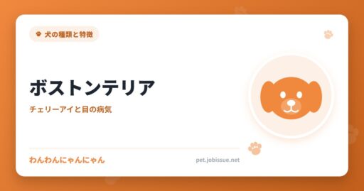 ボストンテリア