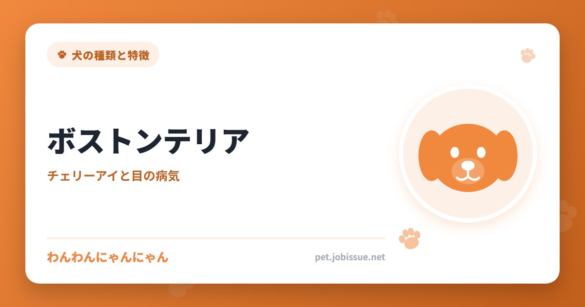 ボストンテリア