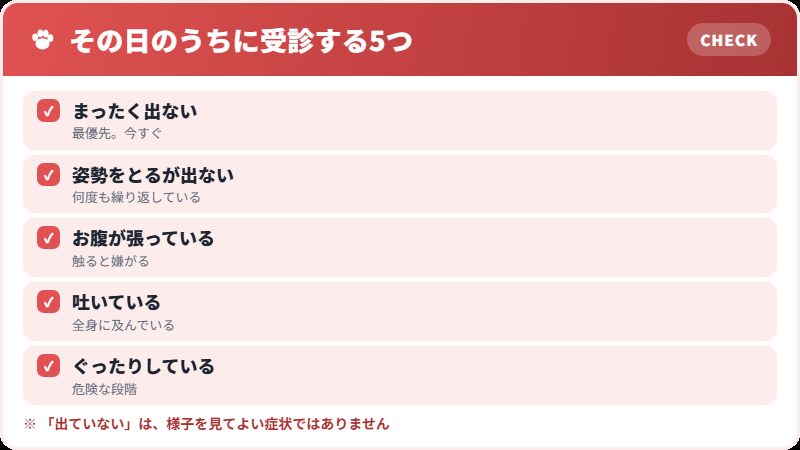 家で見ておくこと