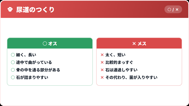 オスで危険な理由