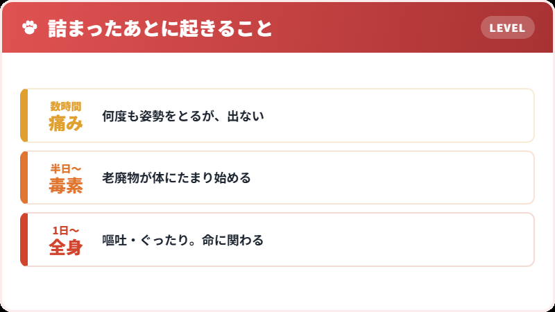 尿が出ないときの進み方