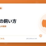 甲斐犬の飼い方
