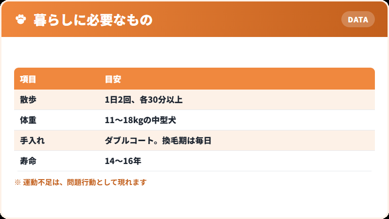 甲斐犬と暮らすために必要なもの