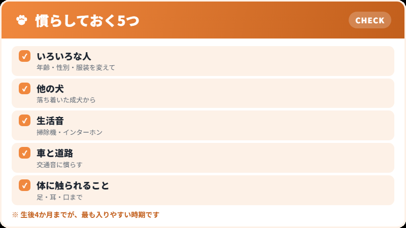 子犬期に慣らしておきたいもの