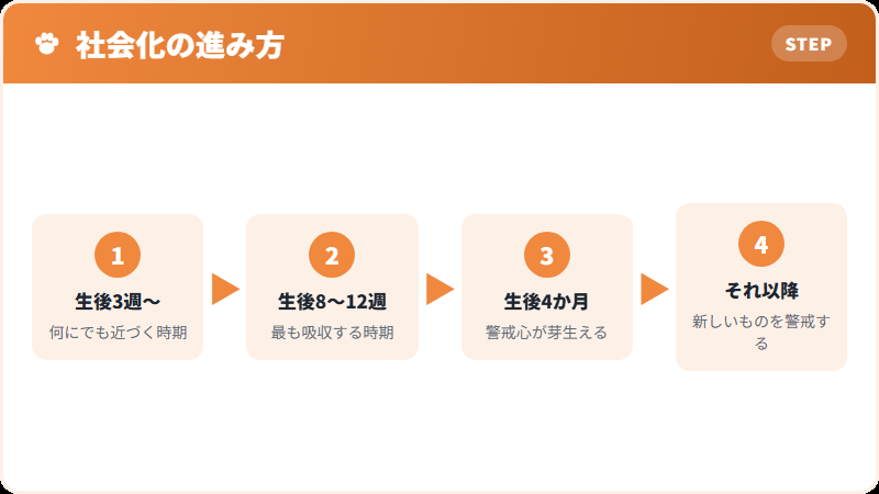 社会化期という限られた時期