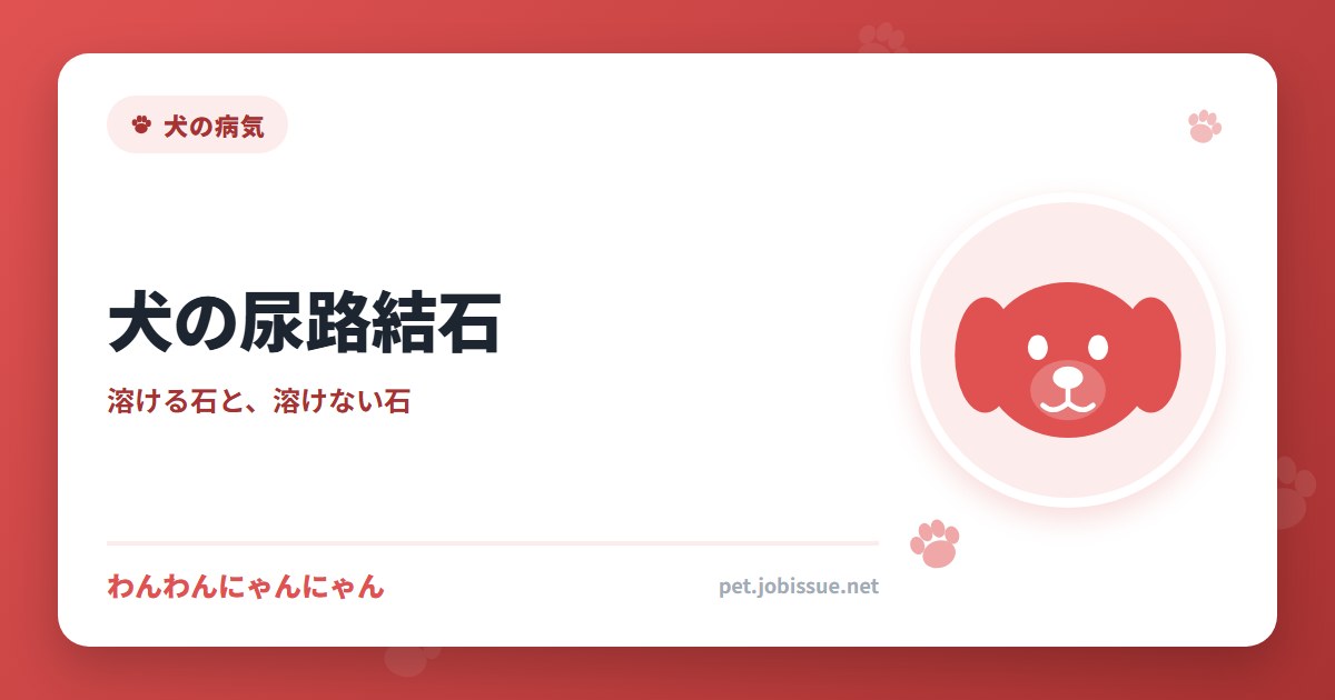 犬の尿路結石