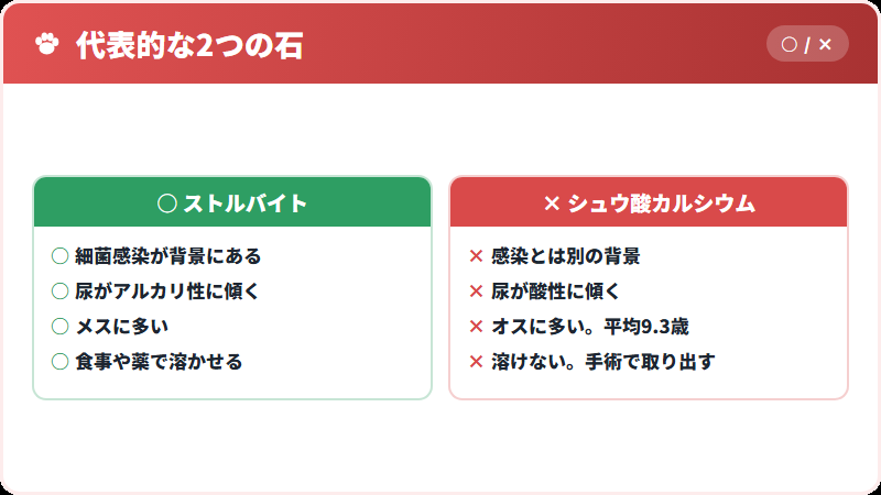 2種類の石の違い