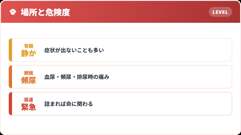 石ができる場所