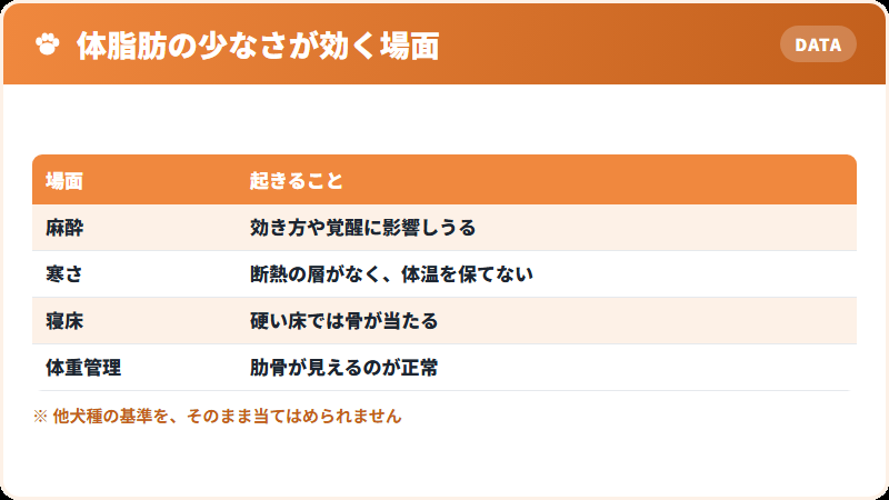 体脂肪の少なさが影響する場面