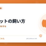 ウィペットの飼い方