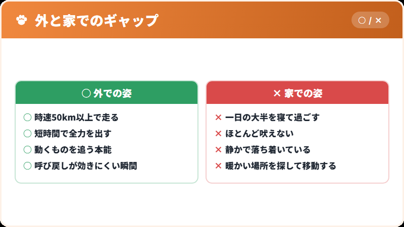 外と家でのギャップ