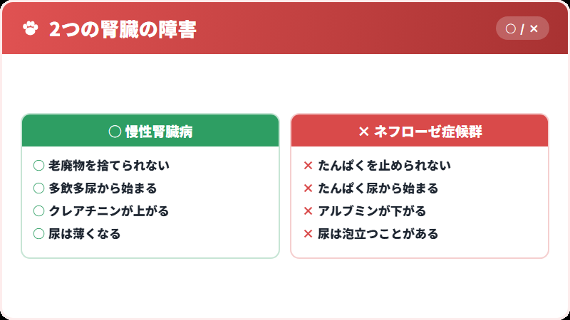 腎臓病との違い