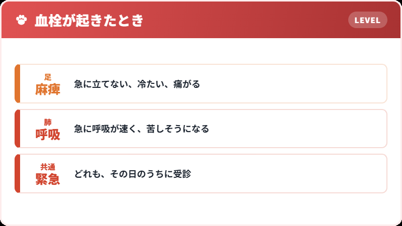 血栓という危険