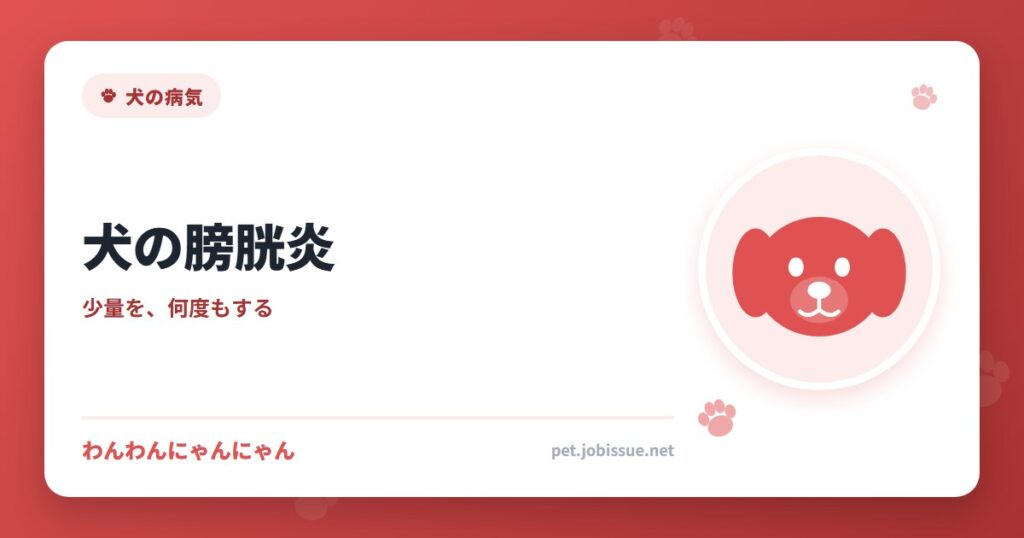 犬の膀胱炎