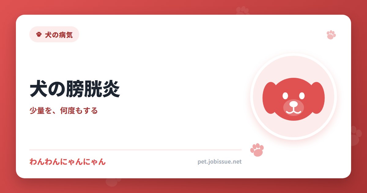 犬の膀胱炎