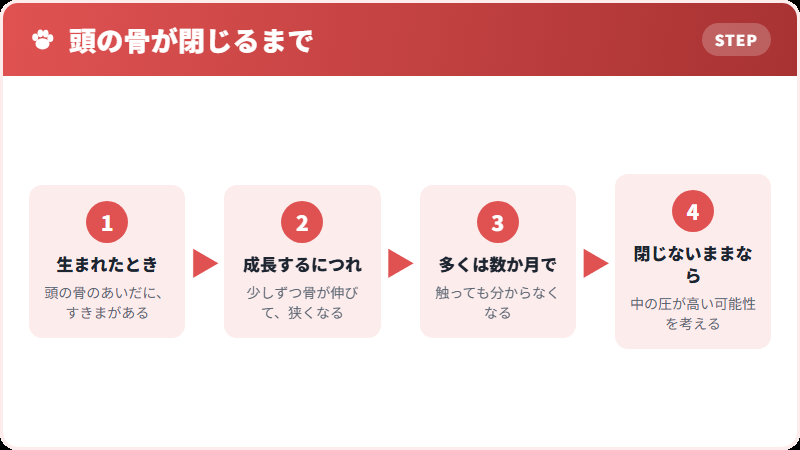 泉門はいつ閉じるのか