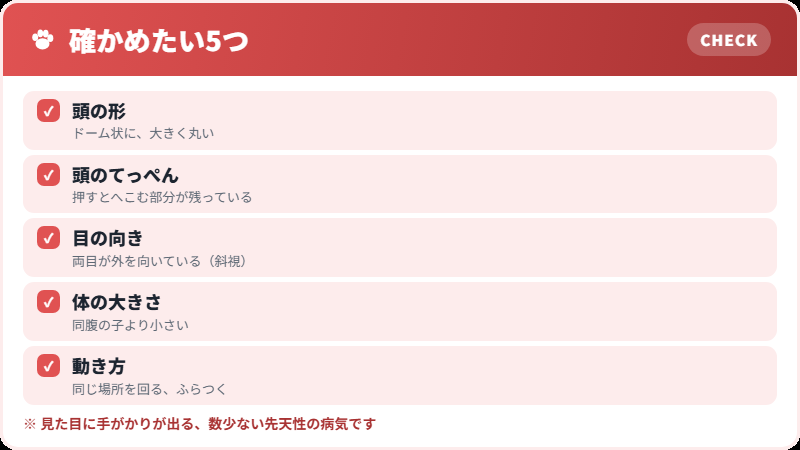 見た目で気づける手がかり