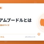 ミディアムプードルとは
