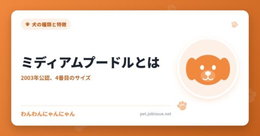 ミディアムプードルとは