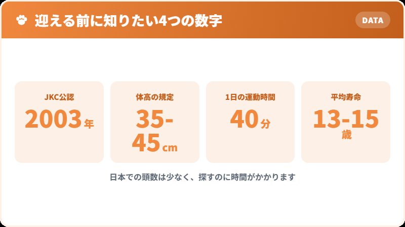 ミディアムプードルを迎える前に知っておきたい4つの数字