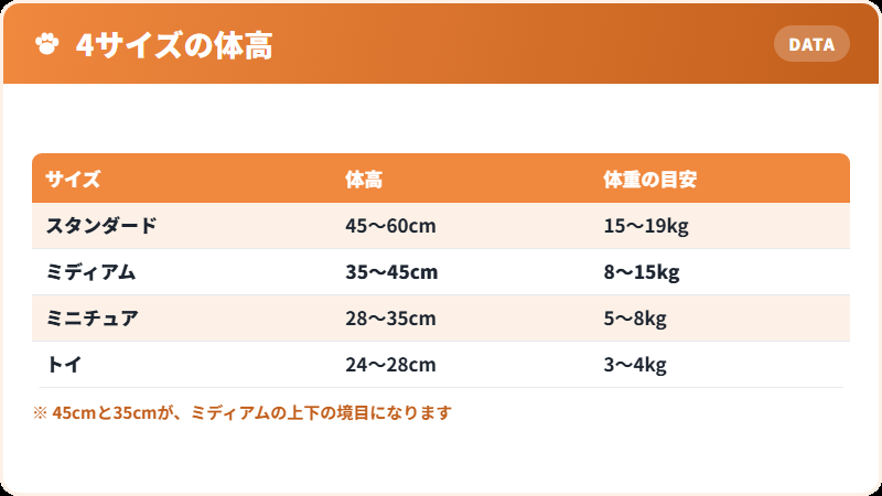 プードル4サイズの体高の比較