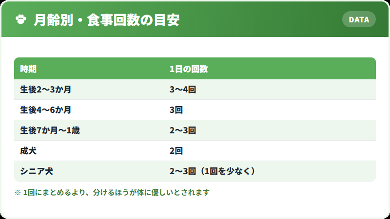 月齢別の食事回数の目安