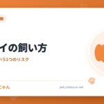 ボルゾイの飼い方