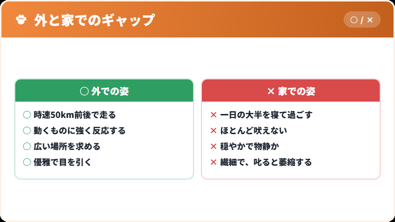 家のなかでの姿