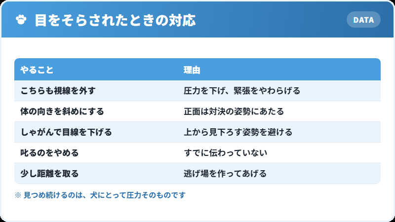 犬が目をそらしたときの正しい対応の一覧