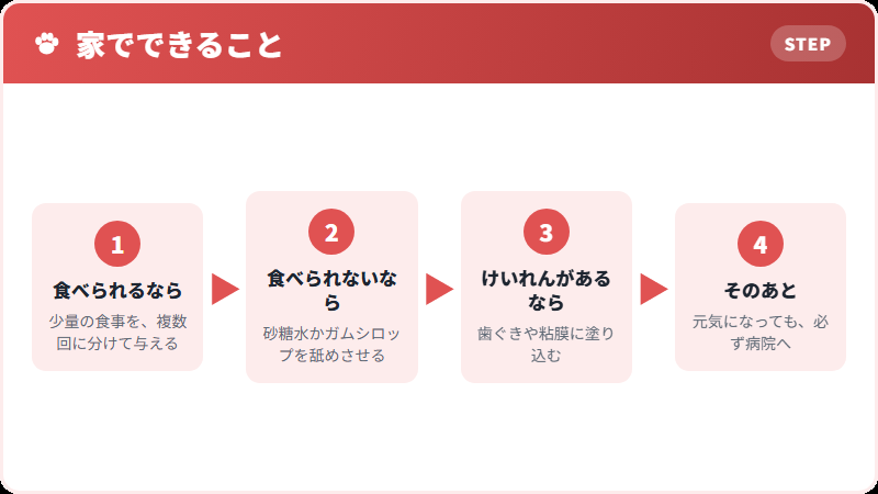 応急処置の手順