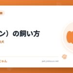 狆（チン）の飼い方