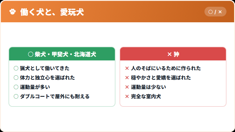 日本犬のなかでの狆の位置