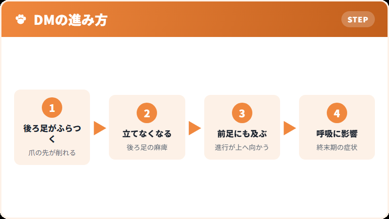 変性性脊髄症の進行