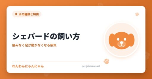 シェパードの飼い方