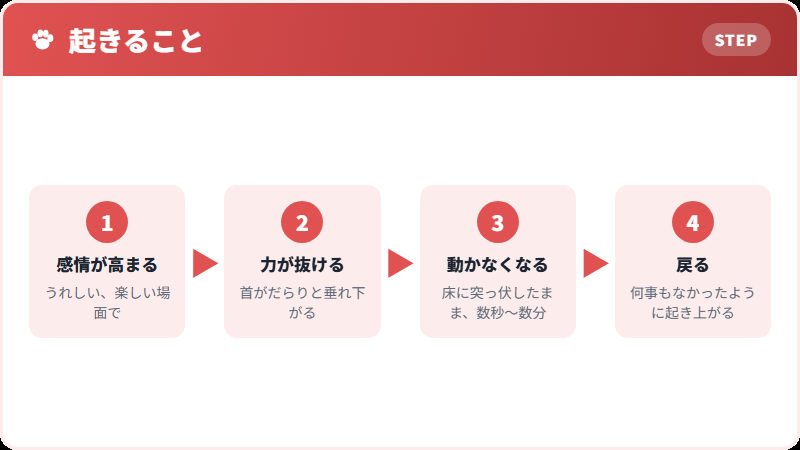 発作の流れ