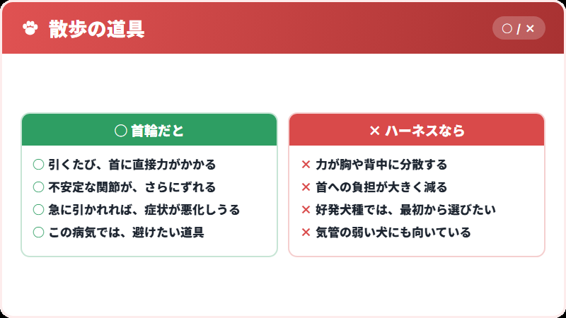 首輪とハーネス