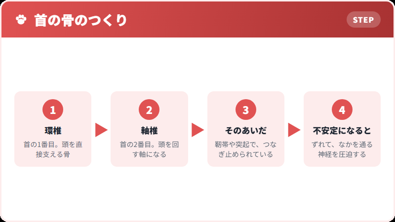 首のいちばん上の関節
