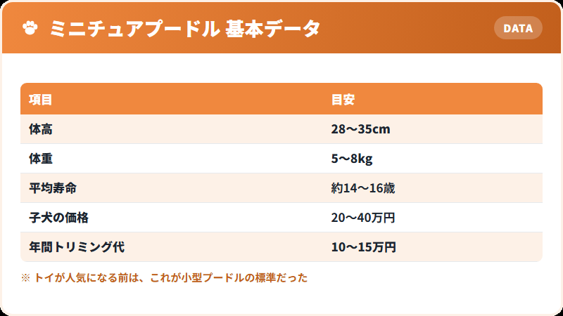 ミニチュアプードルの基本データ 体高・体重・寿命・価格の一覧