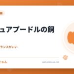 ミニチュアプードルの飼い方