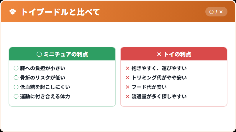 ミニチュアプードルとトイプードルの比較
