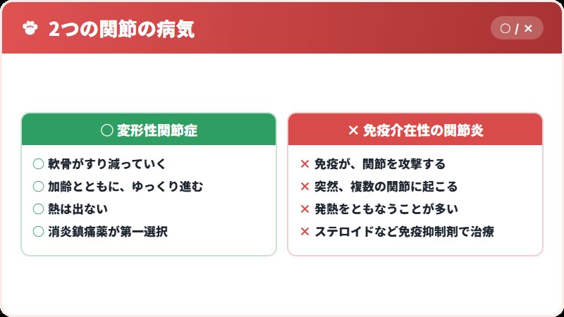 変形性関節症とのちがい