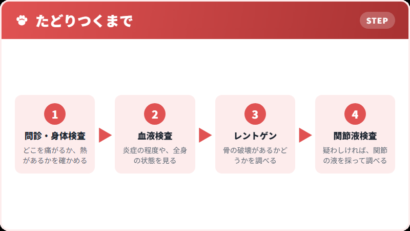 診断の進み方