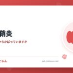 犬の腱鞘炎