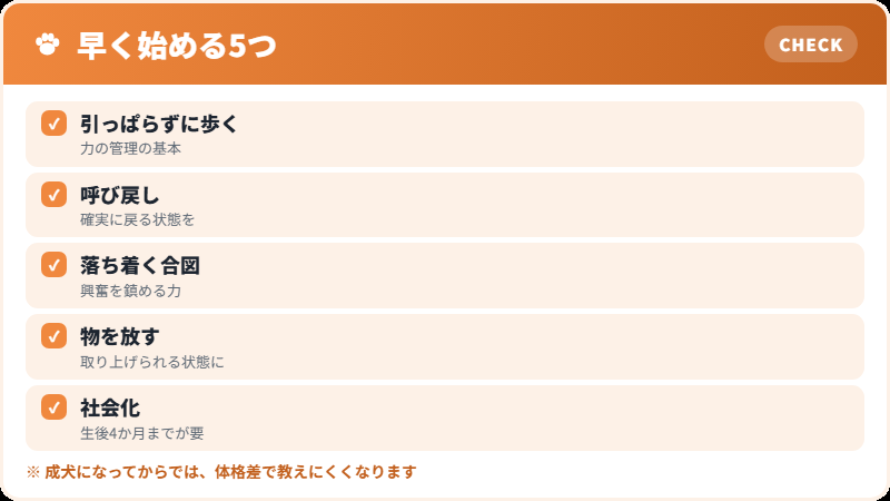 社会化と力の管理