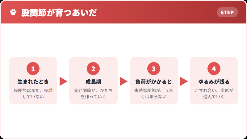 成長期に起きること