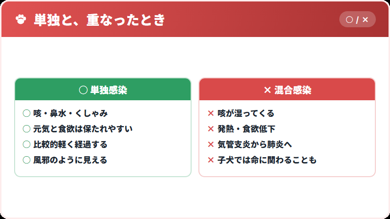 単独感染と混合感染の違い