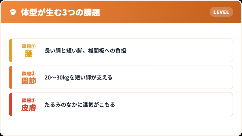 体型がもたらす負担