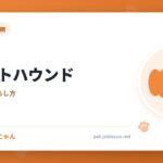 バセットハウンド