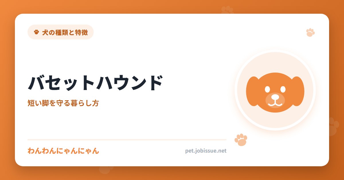 バセットハウンド