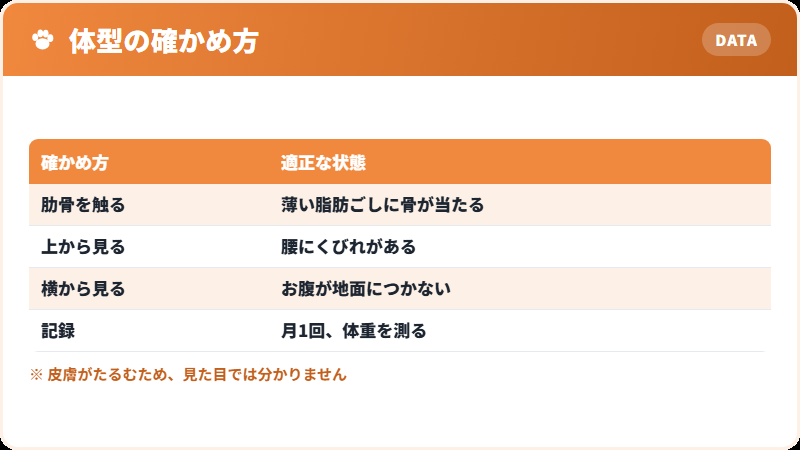 体重管理の目安